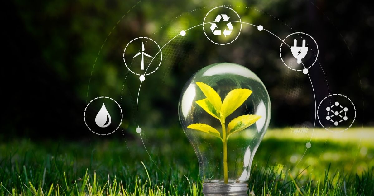Certificação de produtos sustentáveis no mercado global